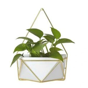 Set of 2 Geometric Ceramic Hanging Wall Planter